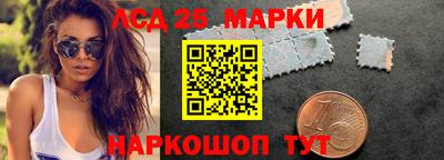 индика Кандалакша