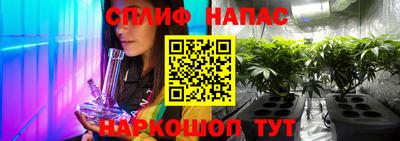 ALPHA PVP Камышлов