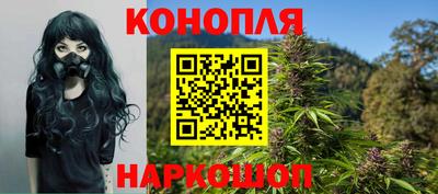 индика Кандалакша