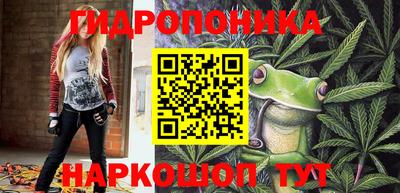 индика Кандалакша