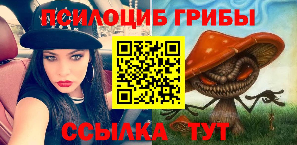 Псилоцибиновые грибы Psilocybe Лесной