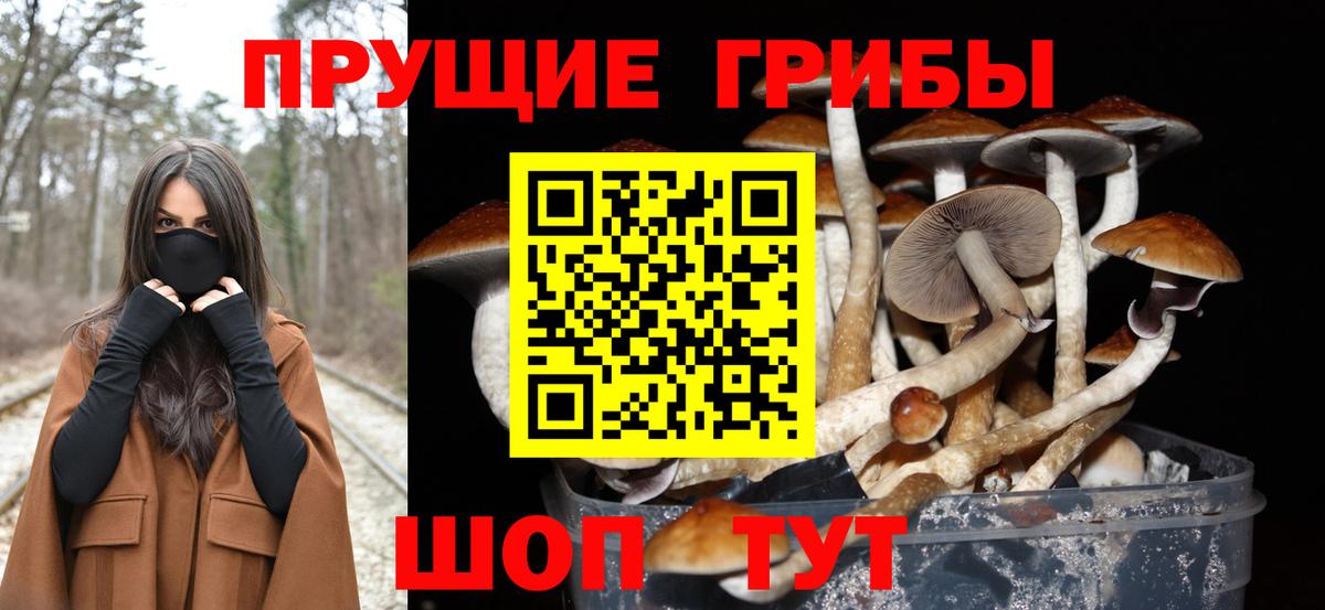 Галлюциногенные грибы мицелий  Псилоцибиновые грибы Psilocybe  Лесной  Вход с VPN 